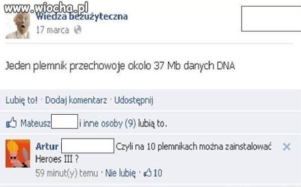 Instalacja na plemnikach 