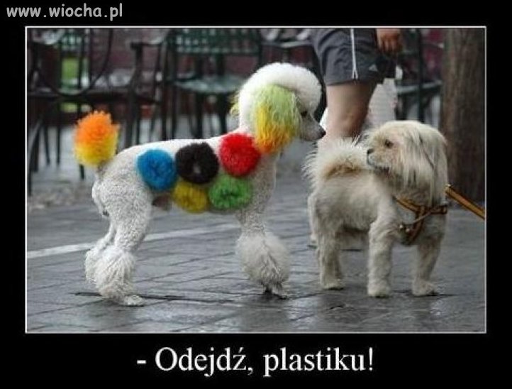 Odejdź plastiku!
