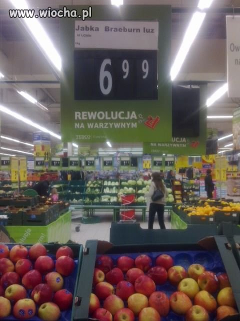 Ojczyzna polszczyzna...