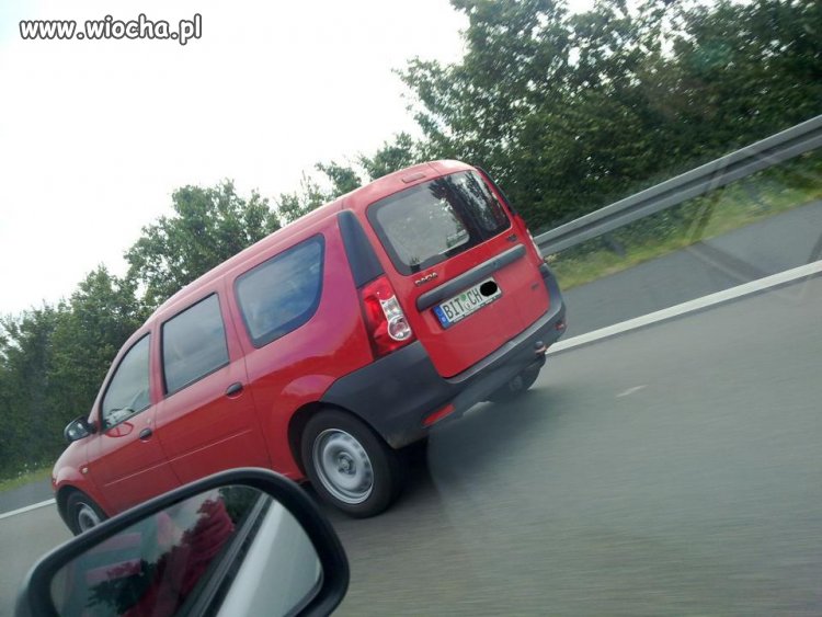 Bitch