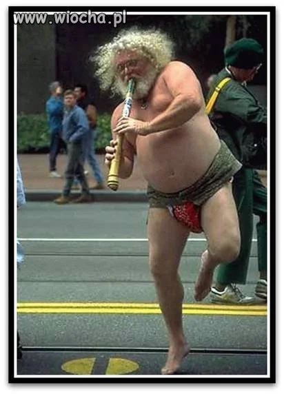 Elf?