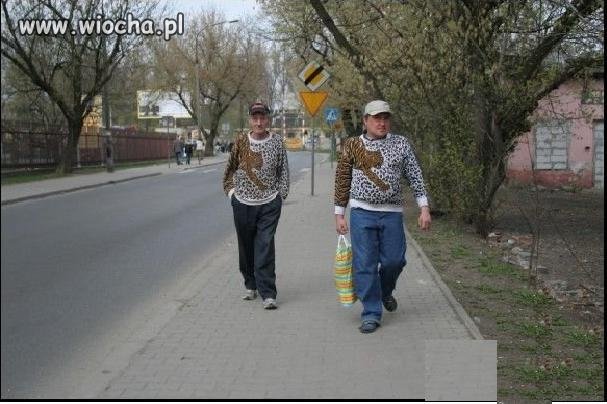Bierz mnie Tygrysie