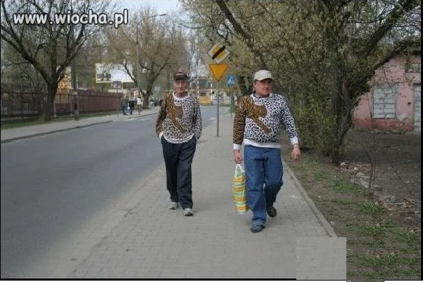 Bierz mnie Tygrysie