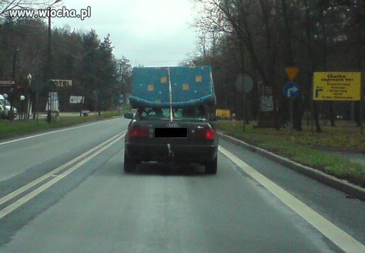 Audi Cannapa? 