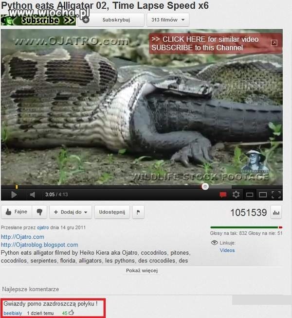 "Gwiazdy porno zazdroszczą
