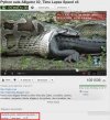 "Gwiazdy porno zazdroszczą
