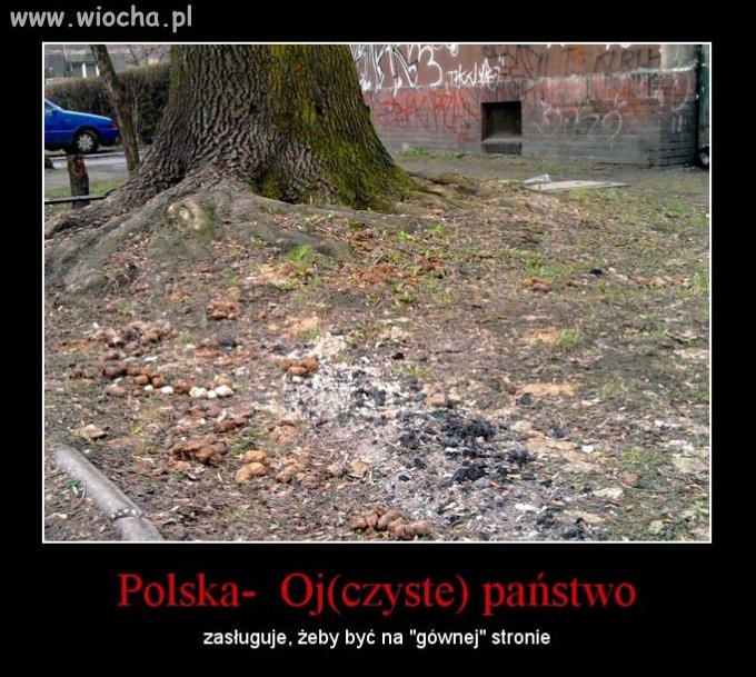I wszystko...