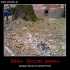 I wszystko...