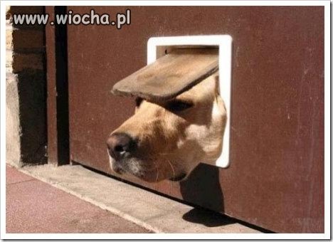 Nie sądzicie, że