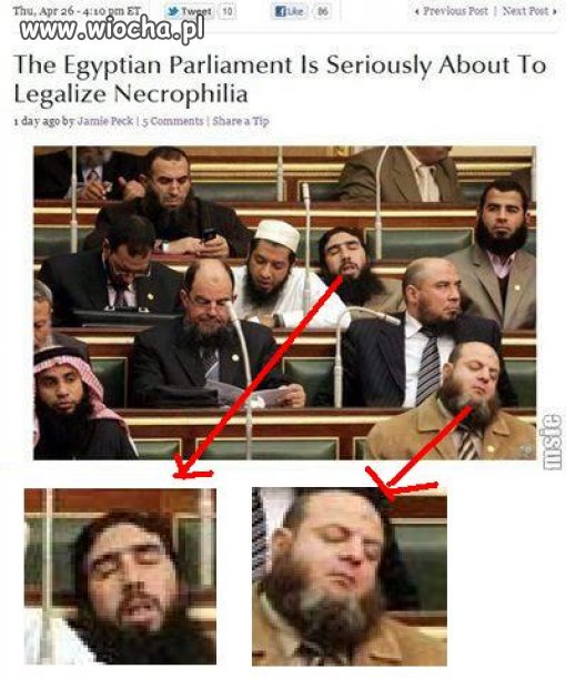 Egipscy politycy