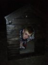 Piesek hał hał 