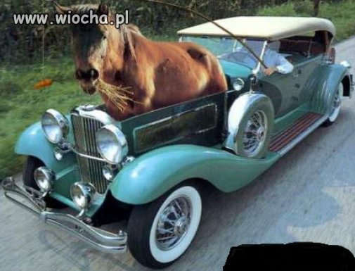 Moc: 1 koń na marchewkę. 