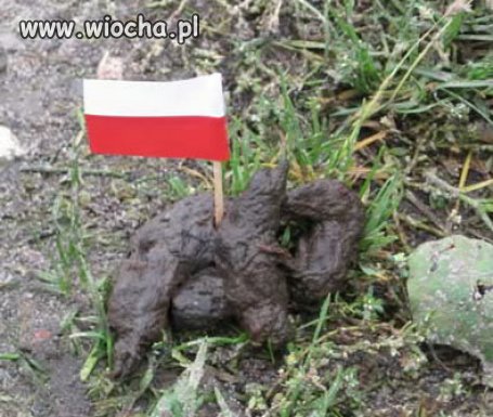 Bezczeszczenie polskiej flagi