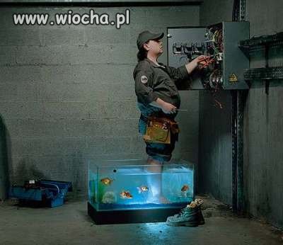 POMYSŁOWY DOBROMIR 