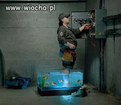 POMYSŁOWY DOBROMIR 