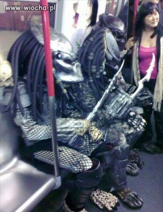 Real predators 