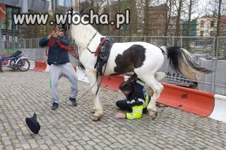 Część drugaa