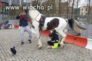 Część drugaa