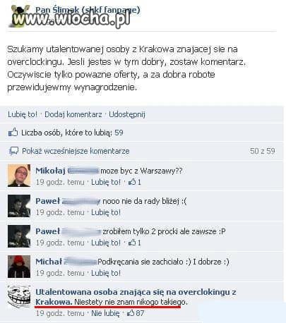 Pan ślimak szuka utalentowanej osoby...