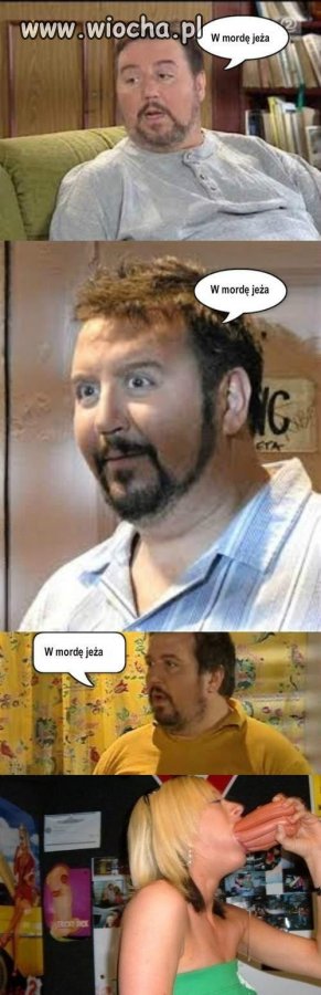 W mordę jeża