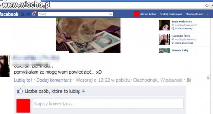 Chyba się zesrałam 
