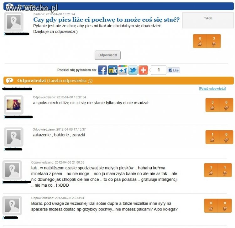 Amatorka zwierząt