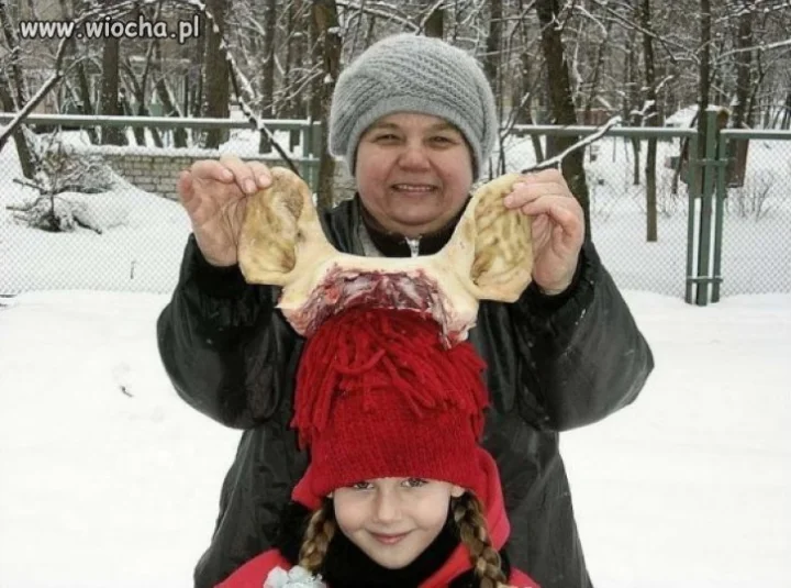 Mądra...