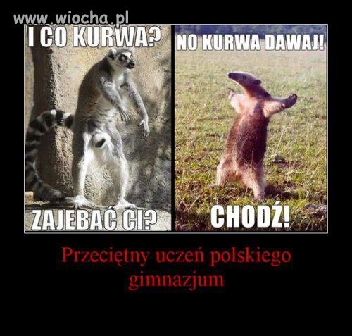 Przeciętny uczeń polskiego gimnazjum.