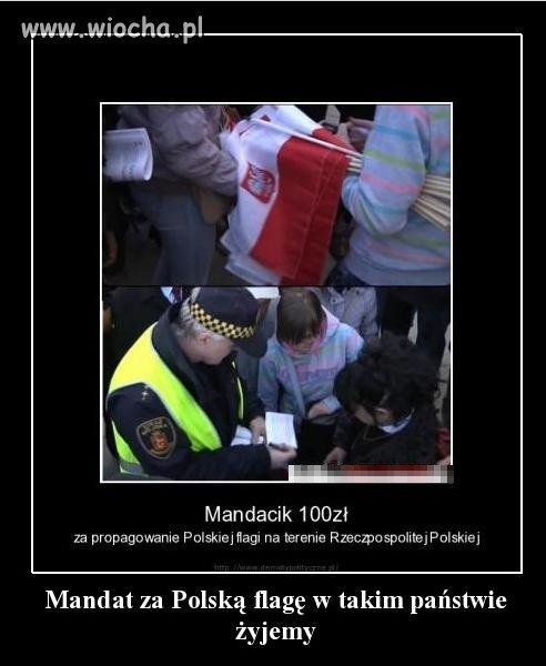 Mandacik..