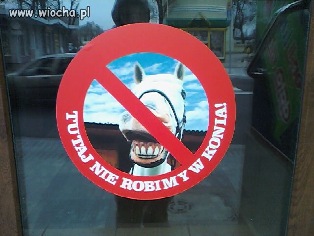 Oni nie robią w konia
