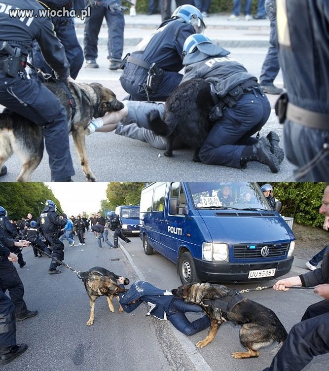Europa... brutalność policji.