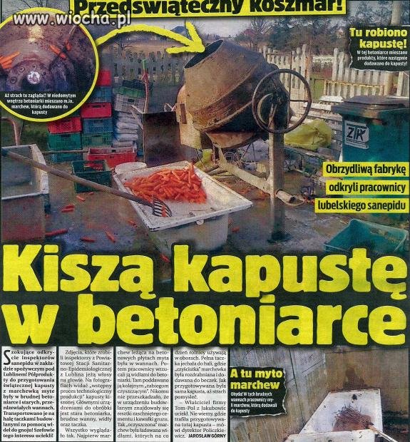 Kiszą kapustę w betoniarce 