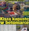 Kiszą kapustę w betoniarce 