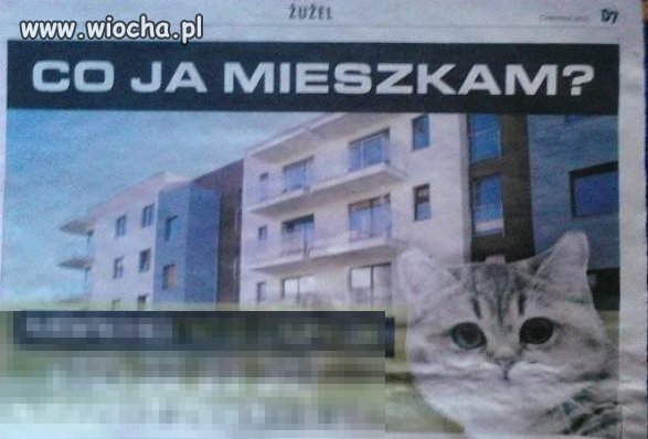 Co ja mieszkam?