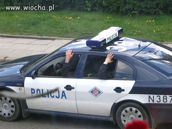 Zimny łokieć... pierwsza oznaka wiosny...
