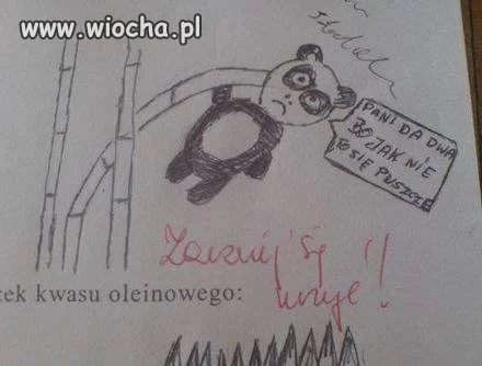Chyba na koniec roku 