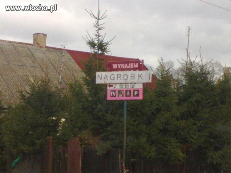 Wszystko jest do wynajęcia