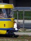 Brak rozumu, kasy albo miejsca
