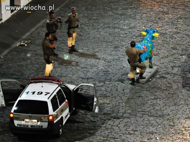 Dobrz panowie pstryk 