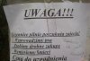 Zapomniały dziewczyny