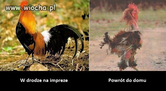 Ciężkie powroty