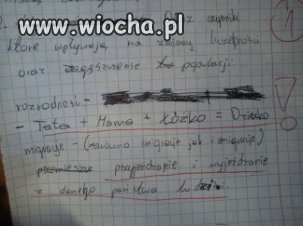 Rozrodczość