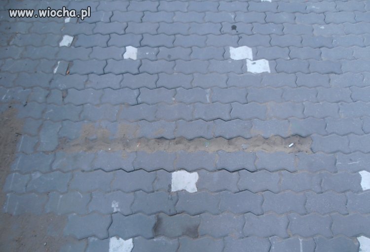 Mistrzowie układania kostki chodnikowej