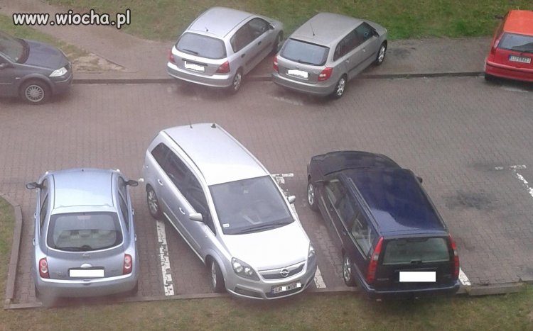 Mistrz parkowania z Lublina