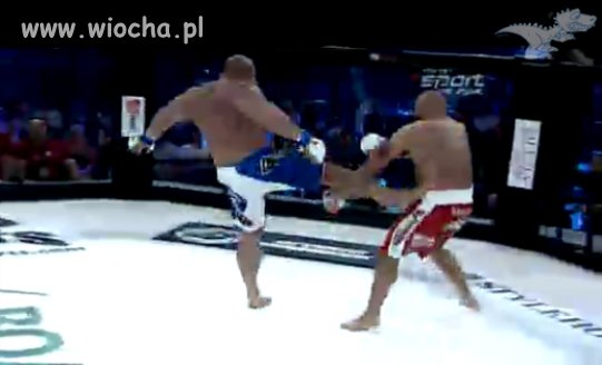 Najman vs koksu