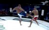 Najman vs koksu