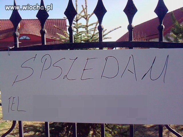 Polska ortografia.