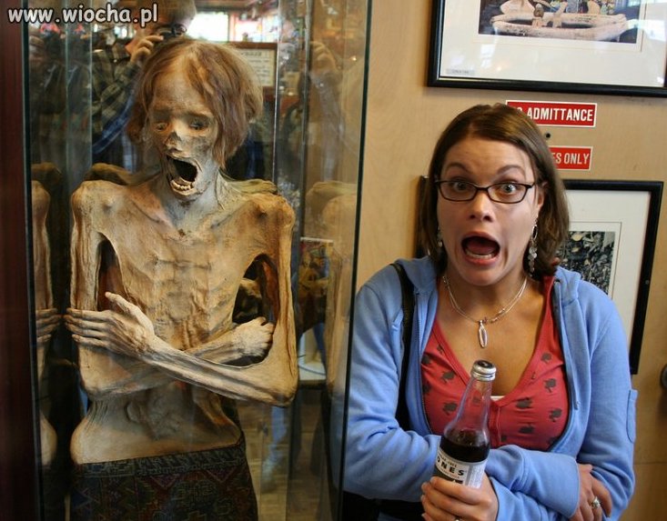 Wizyty w muzeum