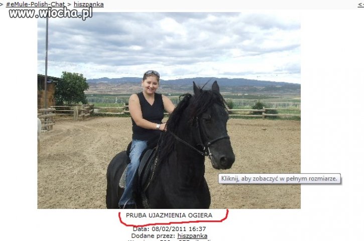 Próba ujarzmienia Ogiera...