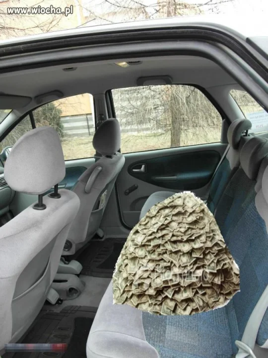 Sterta zielonych